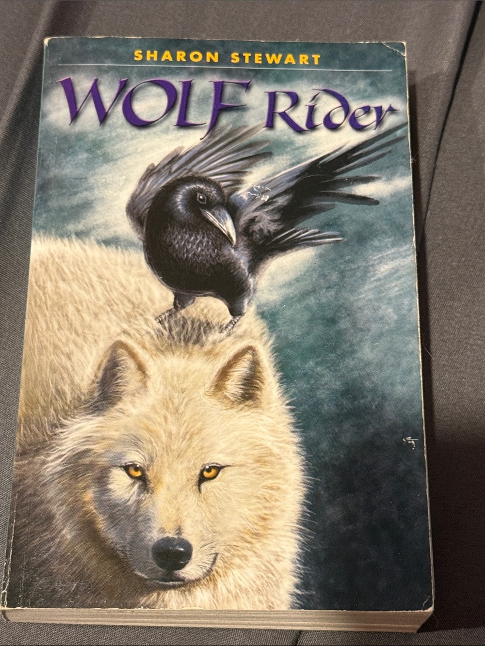 Wolf Rider Paperback Book by Sharon Stewart 30 for $30